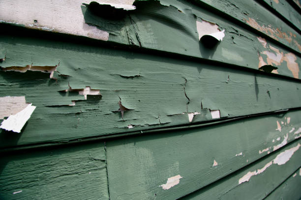 Best Garage Cleanout  in Raymond, MS